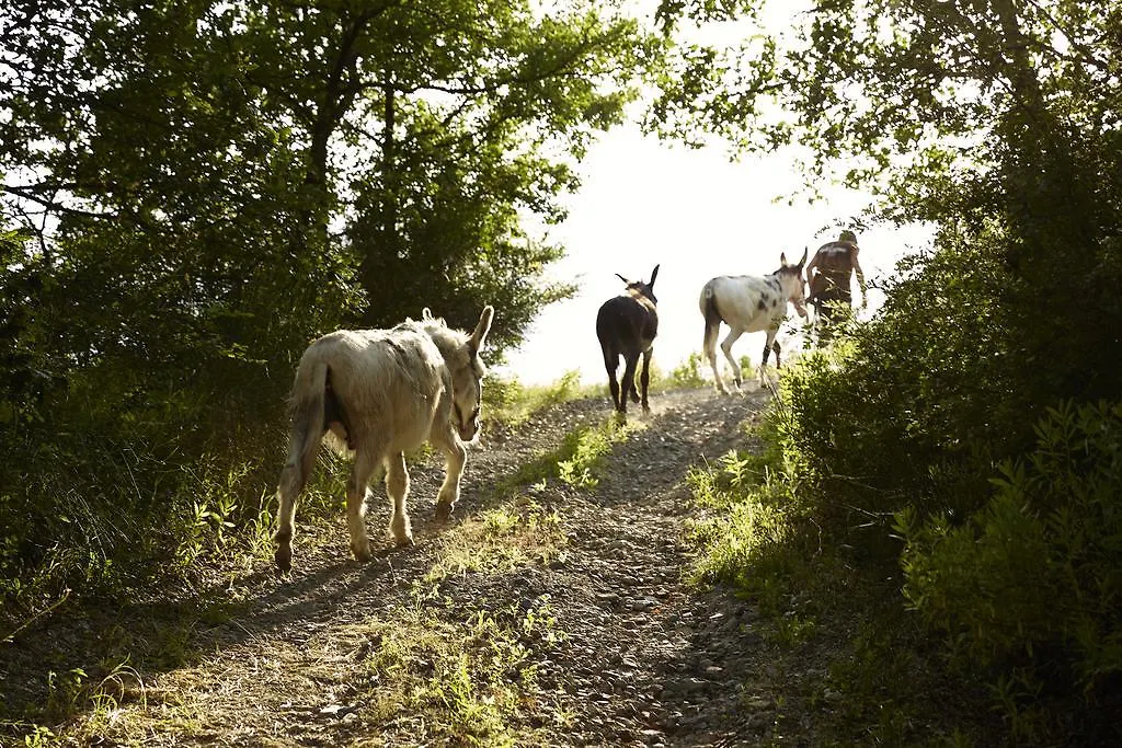 Agriturismo Ca' Del Ciuco Vezzano sul Crostolo Farm stay